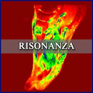i-nostri-servizi